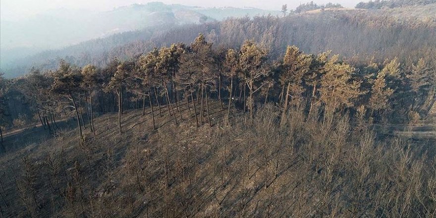Adana'da ormanlık alanda başlayan yangına havadan müdahale tekrar başladı
