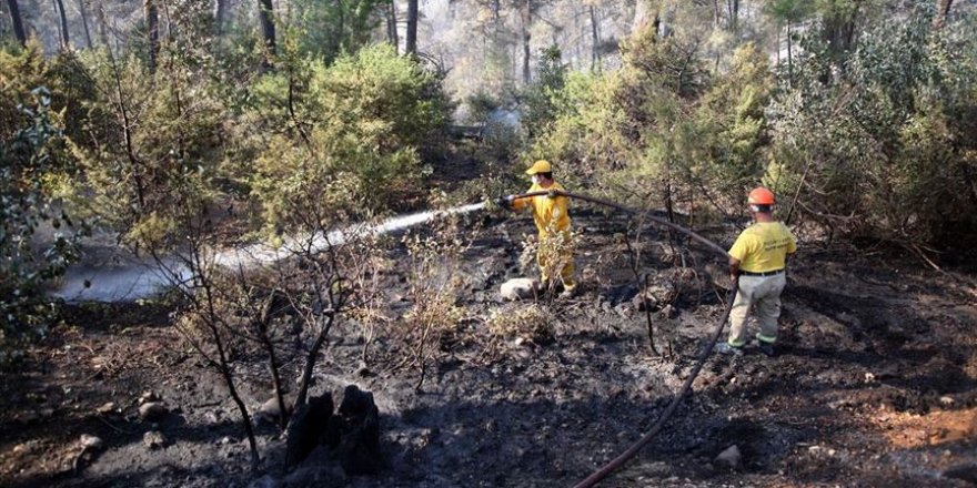 Adana'da çıkan orman yangınında soğutma çalışmaları devam ediyor