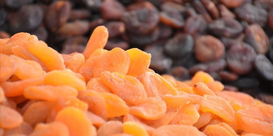Malatya'dan 115 ülkeye kuru kayısı ihracatı gerçekleştirildi
