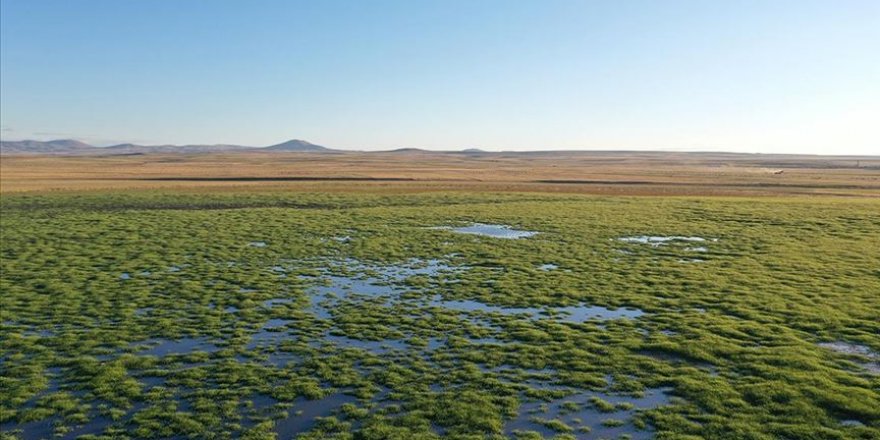 Kuyucuk Gölü  "can suyu" verilerek kurtarıldı