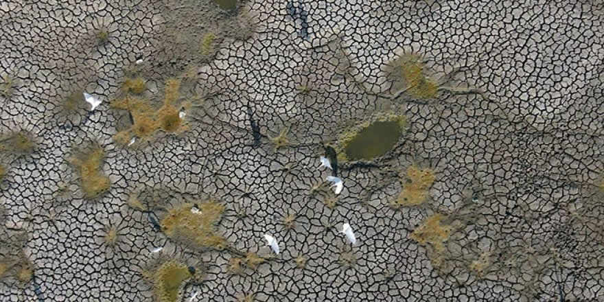 Bursa’da balık ölümleri artarak devam ediyor.