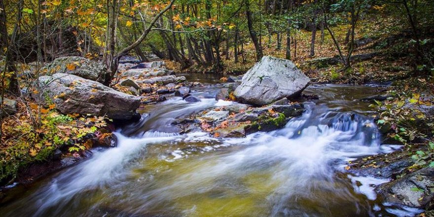 Sadağı Kanyonu 'kesin korunacak hassas alan' ilan edildi