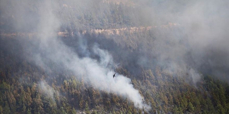 Orman yangınlarının yüzde 84'ünün sebebi ihmal veya dikkatsizlik