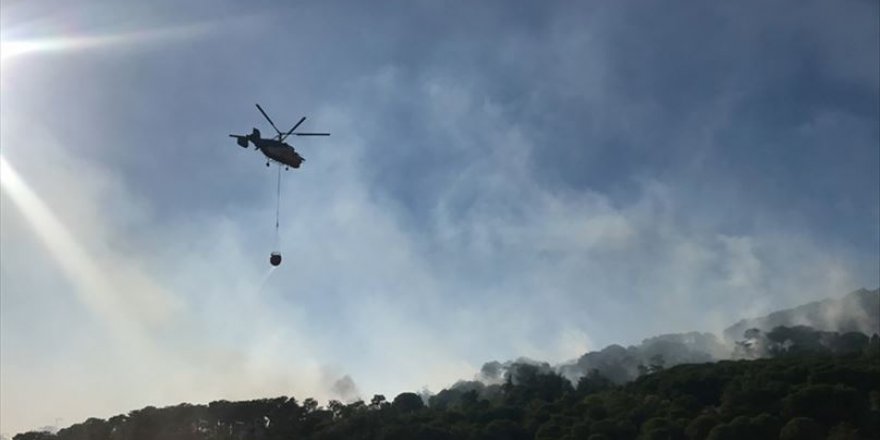 Maltepe'de ormanlık alanda çıkan yangın söndürüldü