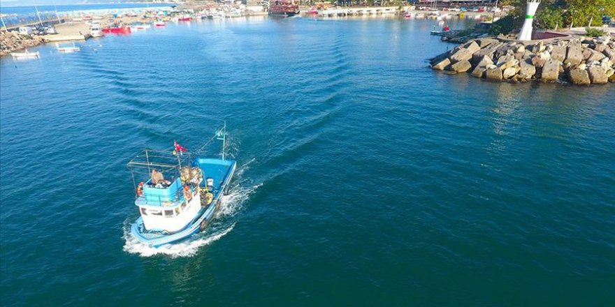 Karadeniz’de hamsi avı ek tedbirlerle başlayacak