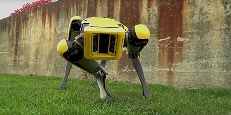 Boston Dynamics yaklaşık 1 milyar dolara Hyundai'ye satıldı