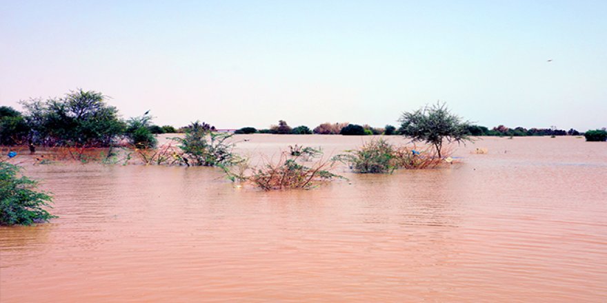 Etiyopya'da seller yaklaşık 300 bin kişiyi yerinden etti