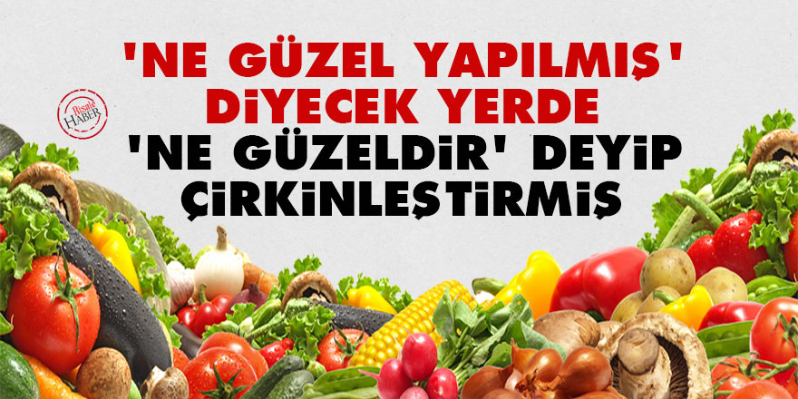 Bediüzzaman: 'Ne güzel yapılmış' diyecek yerde, 'Ne güzeldir' deyip çirkinleştirmiş