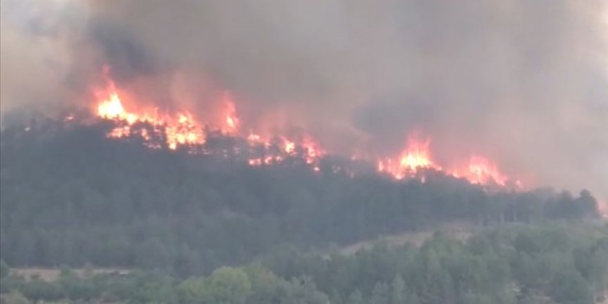 Ankara'nın Nallıhan ilçesinde orman yangını çıktı