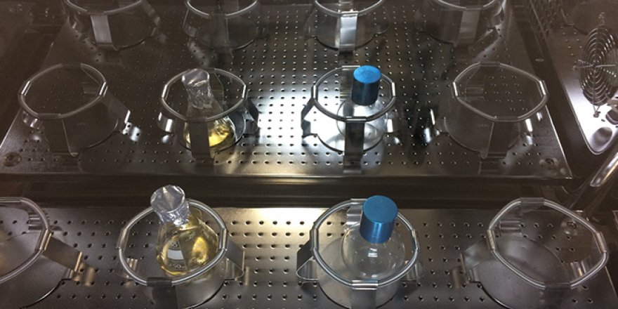 Koronavirüs salgınıyla mücadelede kritik öneme sahip '3CLpro' enzimi üretildi