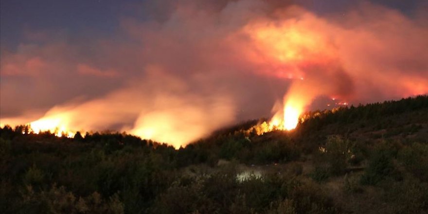 Kastamonu'daki orman yangınına müdahale sürüyor