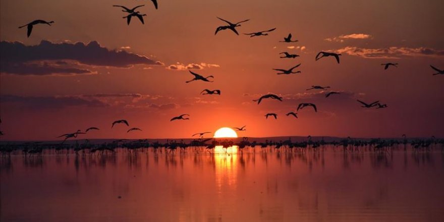 Tuz Gölü muhteşem görüntüsü ile ziyaretçi akınına uğruyor