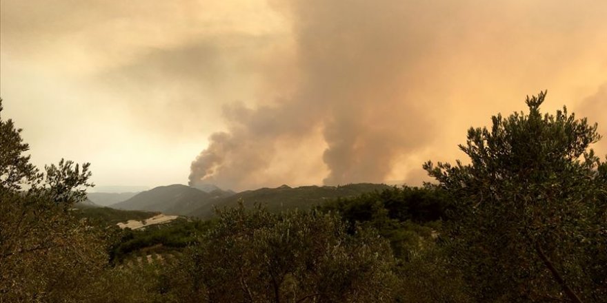 24 orman yangınının 13'ü kontrol altına alındı, 8'i söndürüldü