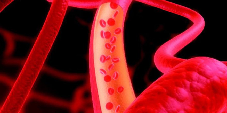 'Kan renginiz vücuttaki oksijeni işaret ediyor'