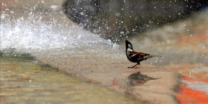 Türkiye 'Eyyam-ı bahur' sıcaklarının etkisi altına giriyor