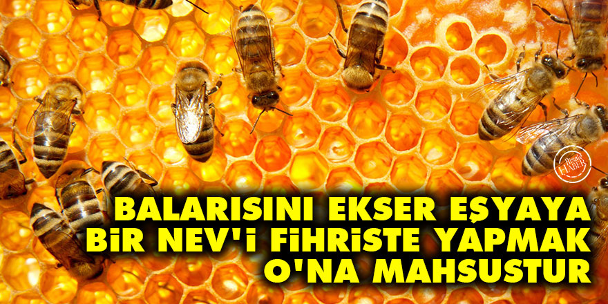 Bediüzzaman: Balarısını ekser eşyaya bir nev'i fihriste yapmak O'na mahsustur