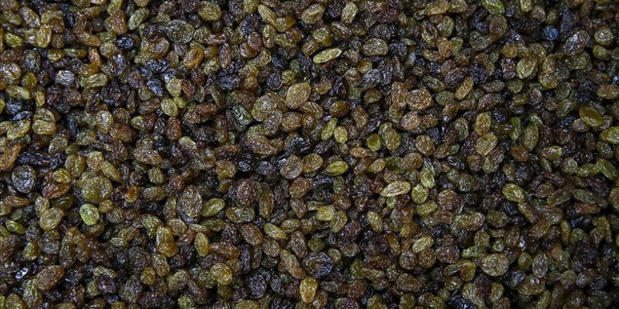 TMO 10 günde 10 bin ton kuru üzüm aldı