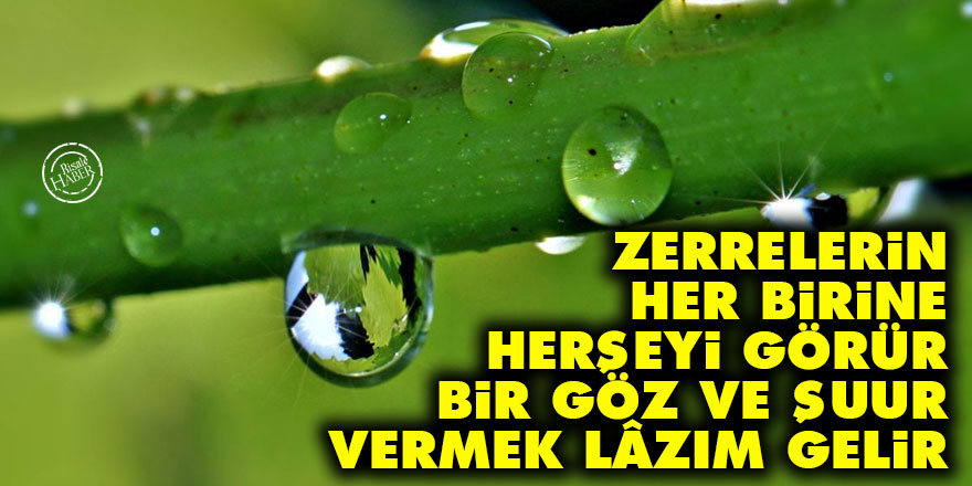 Bediüzzaman: Zerrelerin her birine, herşeyi görür bir göz ve şuur vermek lâzım gelir
