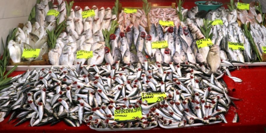 Hamsi, istarvit ve sardalyada dökme avcılık yasaklandı