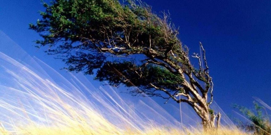 İç Anadolu'da 5 il için kuvvetli rüzgar uyarısı