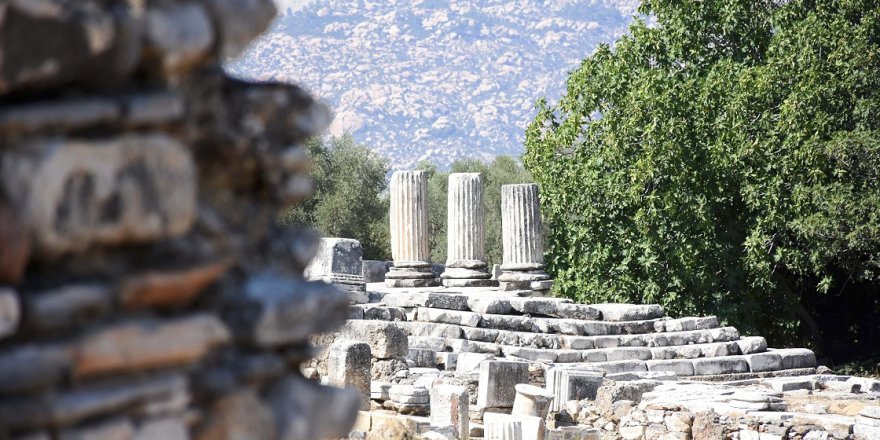 Lagina Hekate Kutsal Alanı'ndaki yapılar ayağa kaldırılıyor
