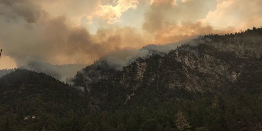 California'daki yangınlar nedeniyle 5 bölgede acil durum ilanı