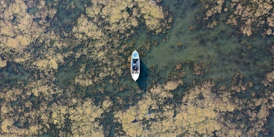 Marmara Gölü'nde su seviyesi yüzde 1,5'a kadar düştü