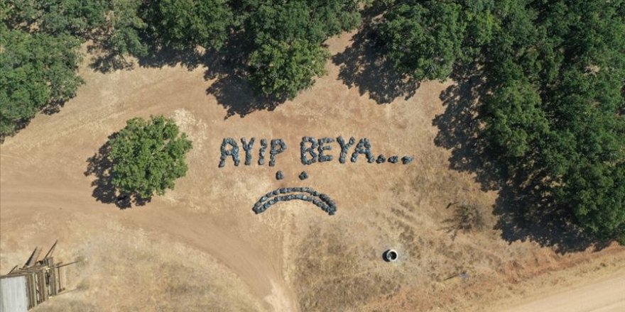 Mesire alanında çöp bırakan piknikçilere esprili tepki: Ayıp beya...