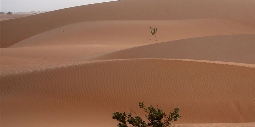 Sahra Çölü'nde terk edilen 80 sığınmacı kurtarıldı