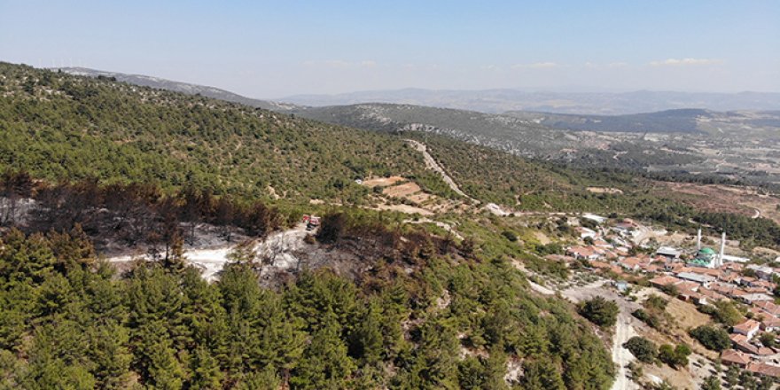 Ateş savaşçılarının çabası bir mahalleyi kül olmaktan kurtardı