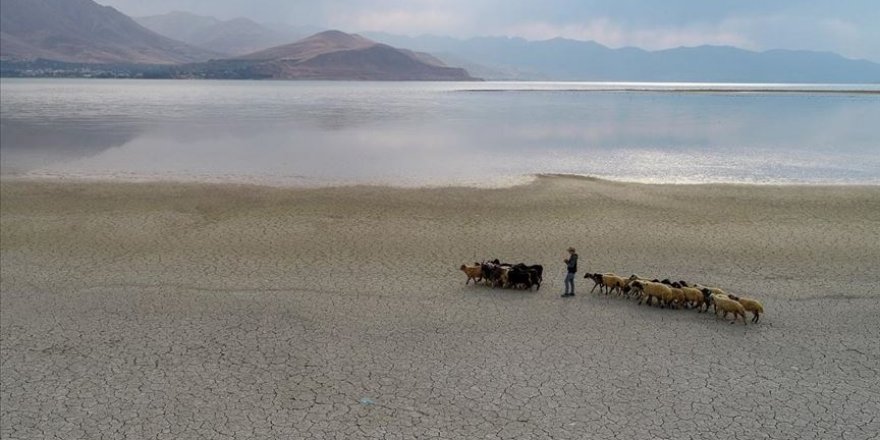 Küresel iklim değişikliği nedeniyle Van Gölü'nün su seviyesi düşüyor
