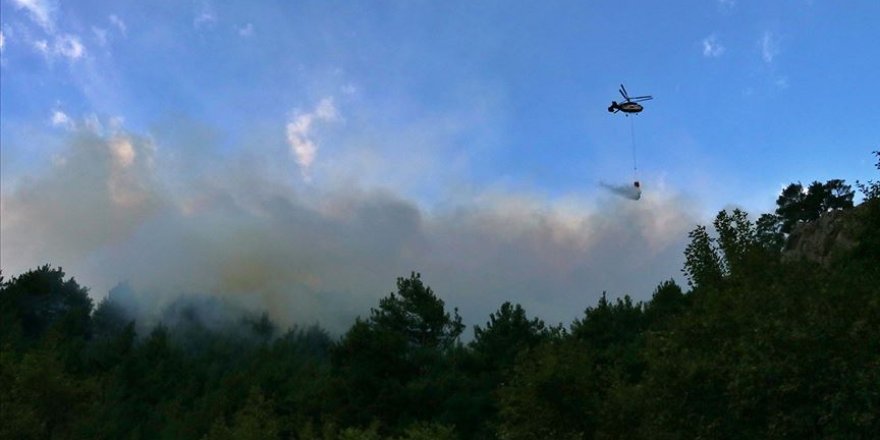Adana'daki orman yangınına müdahale devam ediyor
