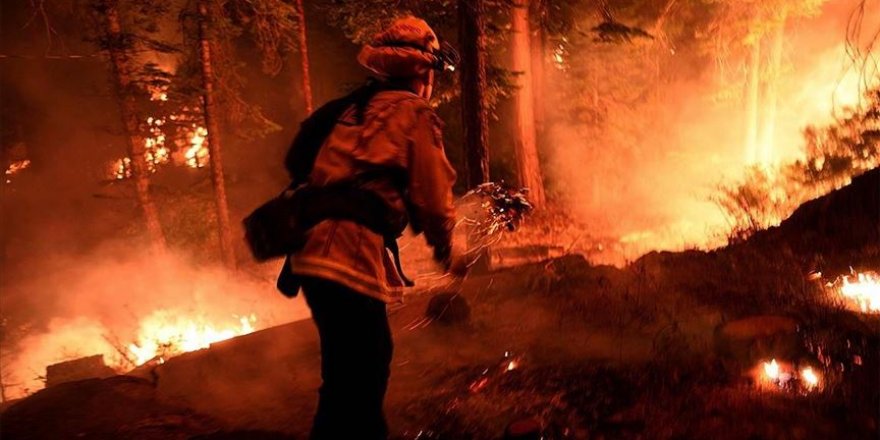 ABD'nin California, Oregon ve Washington eyaletlerindeki orman yangınları devam ediyor