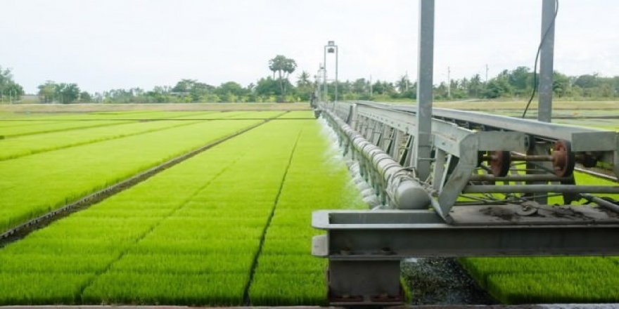 Tarım teknolojileri TEKNOFEST'e geliyor