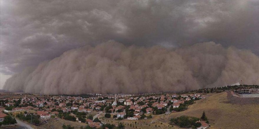 Kum fırtınasına karşı bitkilendirme önerisi
