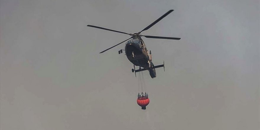 Brezilya'daki yangınlarda yaklaşık 1,5 milyon hektar sulak alan yandı