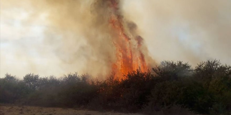 Kızılırmak Deltası Kuş Cenneti'nde yangın
