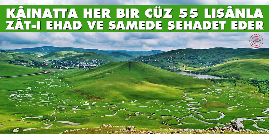 Kâinatta her bir cüz elli beş lisânla Zât-ı Ehad ve Samede şehadet eder