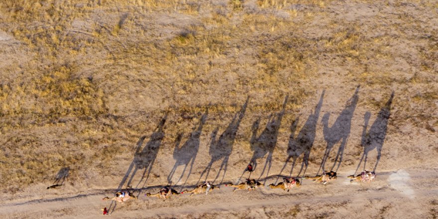 Kapadokya'nın masalsı manzarasını deve safari ile keşfediyorlar