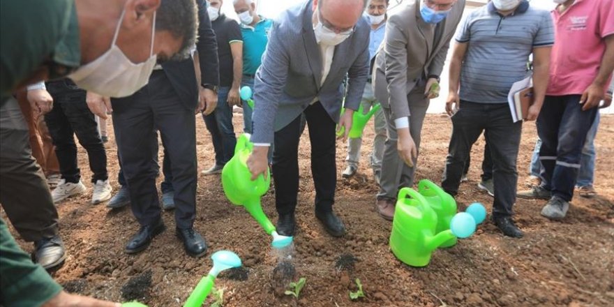 TİKA Suriye'nin kuzeyinde fide üretim merkezi açtı