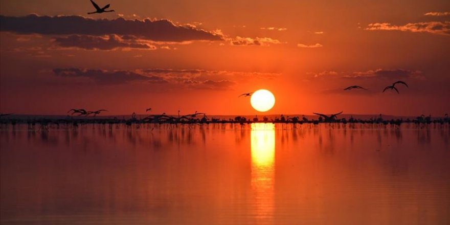 Tuz Gölü nesli tükenmekte olan Bozkır Kartalı ve Toy kuşlarının ev sahibi