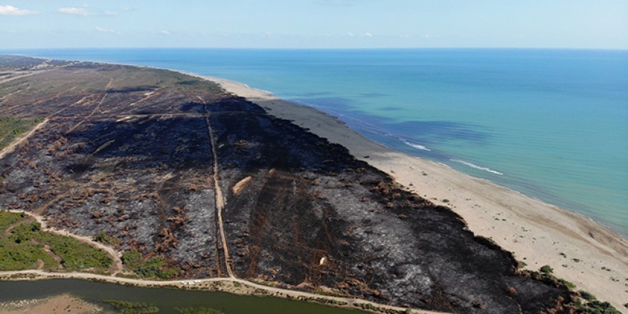 Kuş Cenneti'nde çıkan yangının yaraları sarılıyor