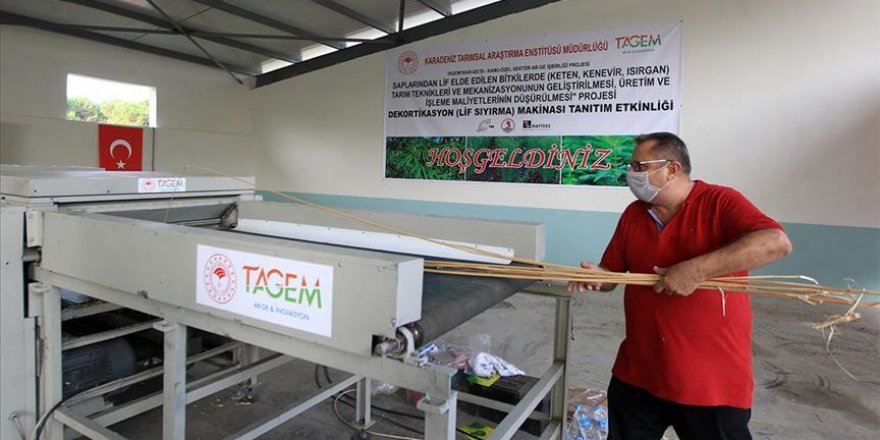 Türk mühendisleri kenevir lif sıyırma makinesi geliştirdi