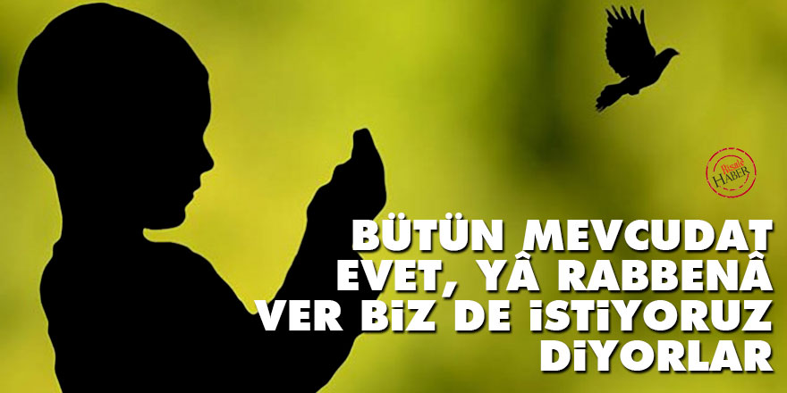 Bediüzzaman: Bütün mevcudat 'Evet, yâ Rabbenâ, ver biz de istiyoruz' diyorlar