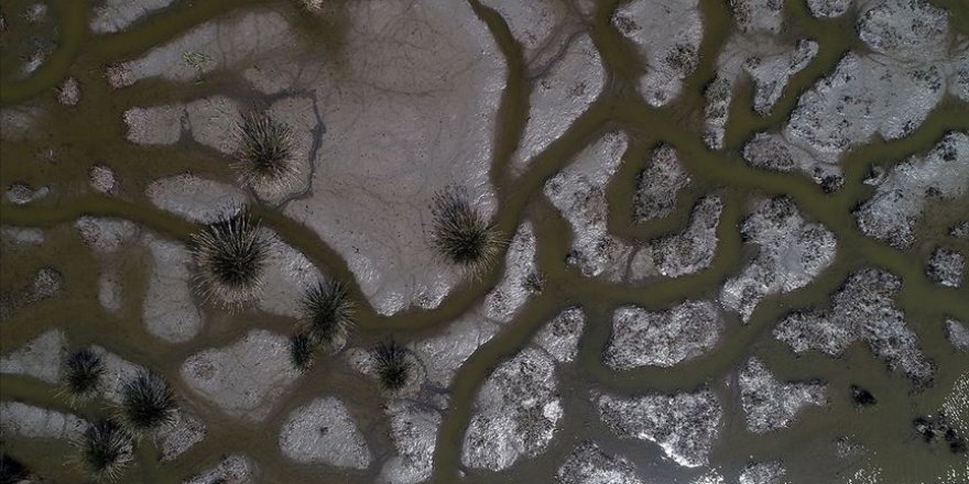 Kızılırmak Deltası'nda yağış azlığından kaynaklı kuraklık tehdidi