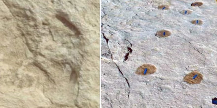 Suudi Arabistan’da 120 bin yıllık ayak izi keşfedildi