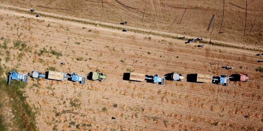 Çiftçi uydu verilerine göre traktör kullanacak