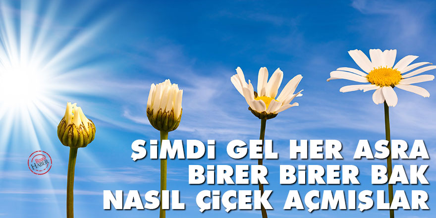 Bediüzzaman: Şimdi gel, her asra birer birer bak, nasıl çiçek açmışlar