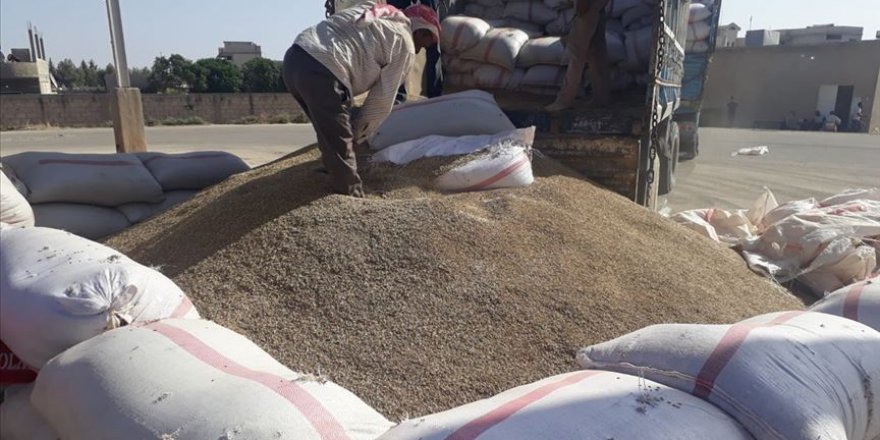 TMO Barış Pınarı Harekatı bölgesinde hububat alımına başladı