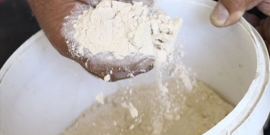 Un ihracatı 2 milyon tona ulaştı